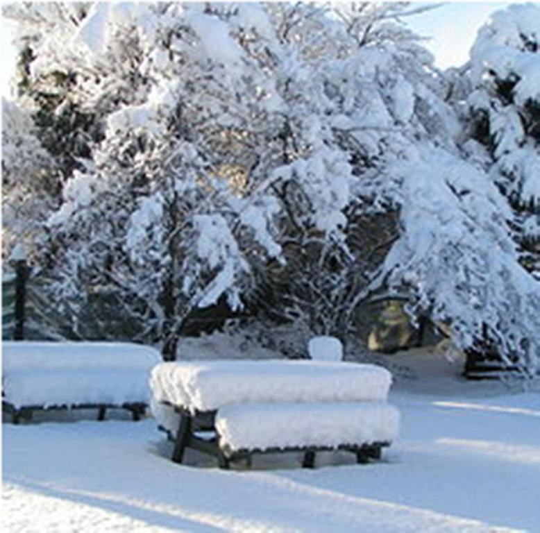 Jack In The Green Garden Rooms Hanmer Springs Luaran gambar