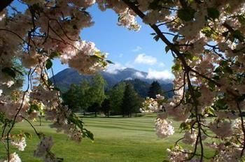 Jack In The Green Garden Rooms Hanmer Springs Luaran gambar